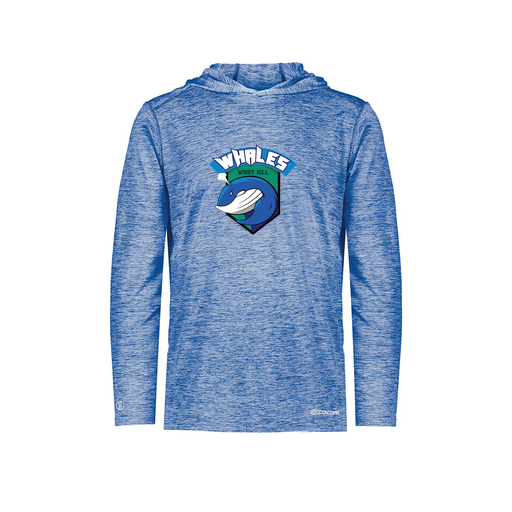 [FOLHCGRY-YS-LOGO1] Decker Youth Charge Hoodie (Youth S, Royal, Logo 1)